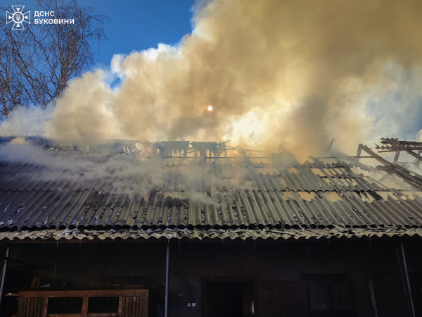 У Чернівецькій області вогнеборці ліквідували три пожежі &raquo; ТВА