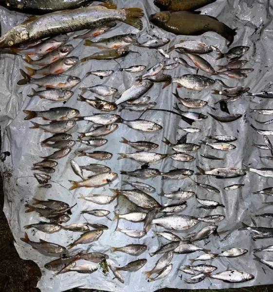 "Це жах!": у річці на Буковині масово гине риба, місцеві звинувачують спиртзавод - відео » Новини Чернівці: Інформаційний портал «Молодий буковинець» "Це жах!": у річці на Буковині масово гине риба, місцеві звинувачують спиртзавод - відео » Новини Чернівці: Інформаційний портал «Молодий буковинець»