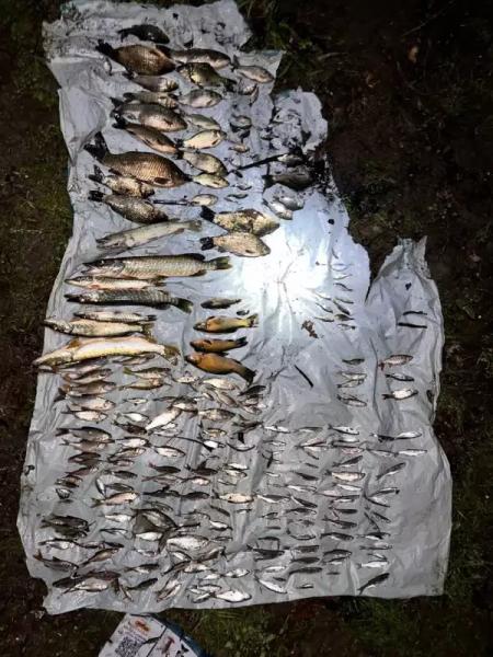 "Це жах!": у річці на Буковині масово гине риба, місцеві звинувачують спиртзавод - відео » Новини Чернівці: Інформаційний портал «Молодий буковинець» "Це жах!": у річці на Буковині масово гине риба, місцеві звинувачують спиртзавод - відео » Новини Чернівці: Інформаційний портал «Молодий буковинець»