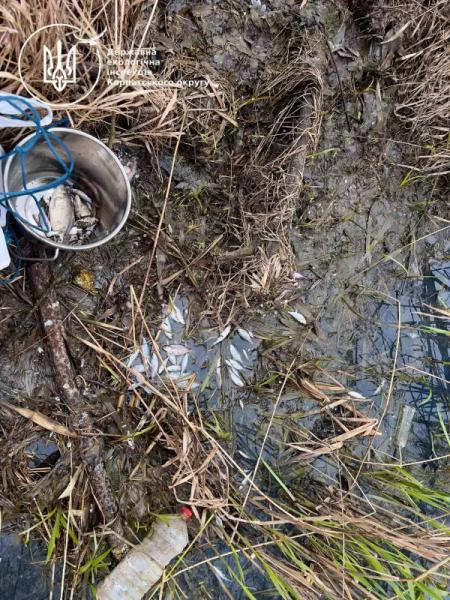 "Це жах!": у річці на Буковині масово гине риба, місцеві звинувачують спиртзавод - відео » Новини Чернівці: Інформаційний портал «Молодий буковинець» "Це жах!": у річці на Буковині масово гине риба, місцеві звинувачують спиртзавод - відео » Новини Чернівці: Інформаційний портал «Молодий буковинець»