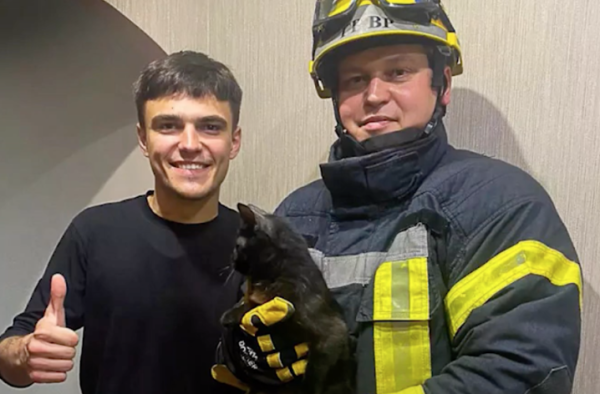 У Чернівцях кіт впав у вентиляційну шахту та не зміг самостійно вибратись » Чернівецький промінь | Новини. Буковина. Чернівці У Чернівцях кіт впав у вентиляційну шахту та не зміг самостійно вибратись » Чернівецький промінь | Новини. Буковина. Чернівці