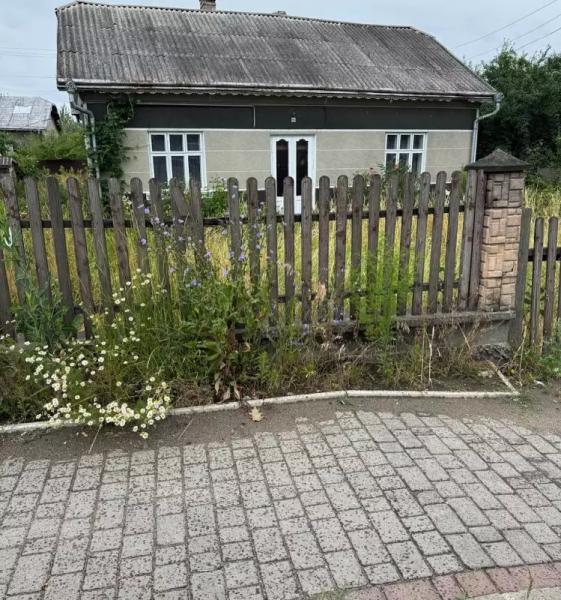 У громаді на Буковині мешканців будуть штрафувати за зарослі біля будинків