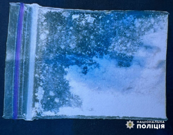 Поводилась підозріло: чернівчанку обшукали прямо посеред вулиці і знайшли наркотики &raquo; Чернівецький промінь | Новини. Буковина. Чернівці