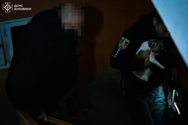 C4 - У Чернівцях горіла багатоповерхівка: з будинку евакуювали 29 людей та домашніх тварин C4 - У Чернівцях горіла багатоповерхівка: з будинку евакуювали 29 людей та домашніх тварин