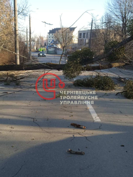 Через обрив контактного дроту призупинено рух тролейбусів №4 » ТВА Через обрив контактного дроту призупинено рух тролейбусів №4 » ТВА