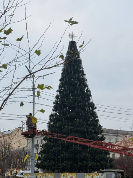 C4 - У Чернівцях завершують облаштування новорічної ялинки C4 - У Чернівцях завершують облаштування новорічної ялинки